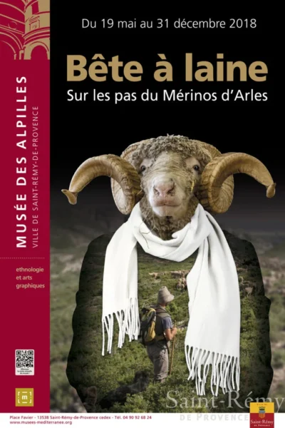 Sur les pas du Mérinos d'Arles