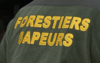 forestiers sapeurs