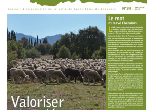 Journal de Saint-Rémy-de-Provence n°34