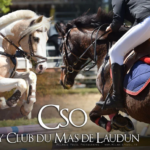 mas de laudun