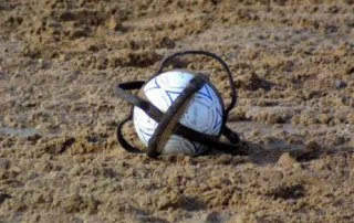 horse-ball