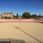 taurin-alpilles