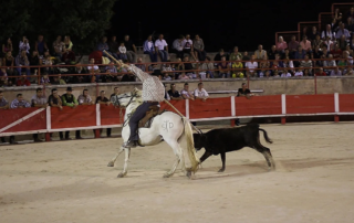 feria - olympiades