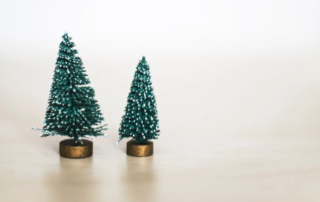 kari-shea-unsplash