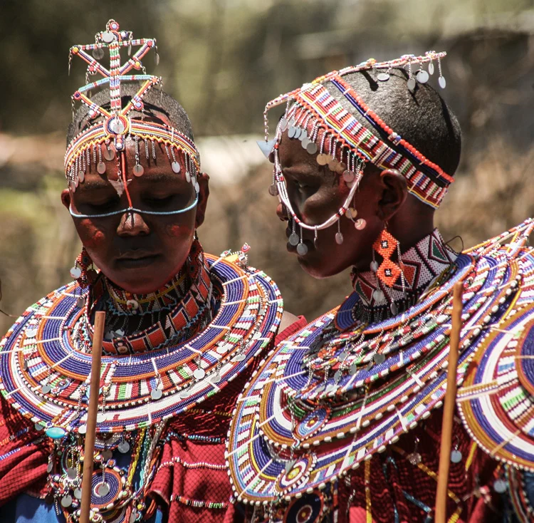 image8
