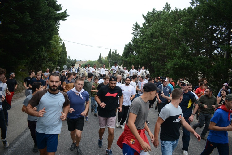 Fêtes votives Ville de SaintRémydeProvence