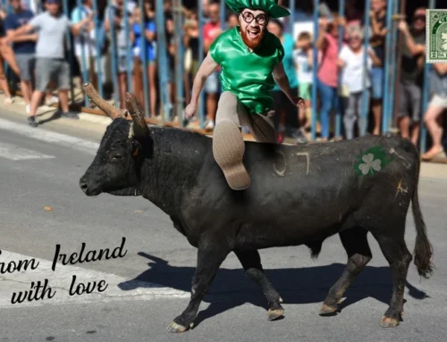 “An Irish Story” : écrivez-nous une carte postale d’Irlande !