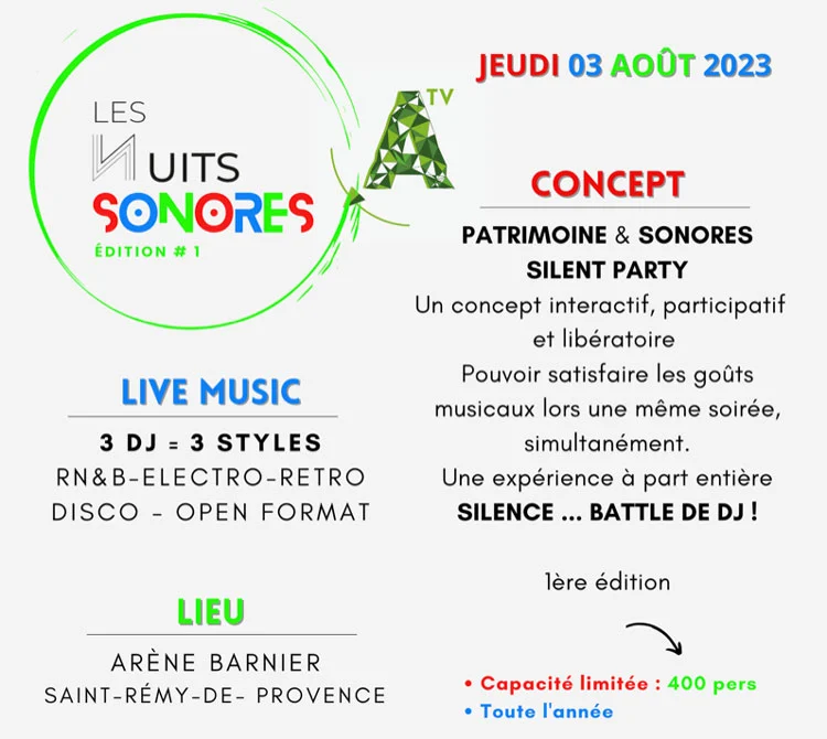 nuits-sonores2