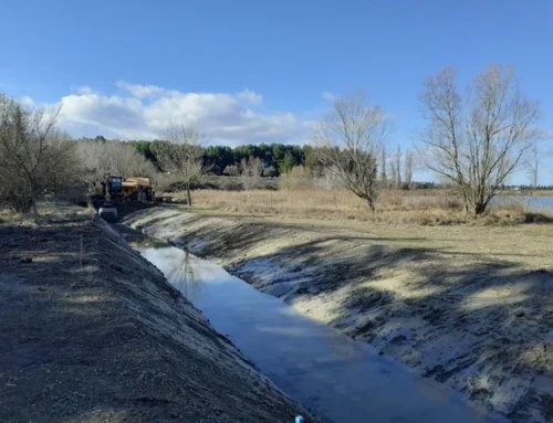 Renaturation du lac de Barreau : ça redémarre