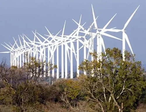 Plan Climat Air Energie Territorial du Pays d’Arles (PCAET) : la concertation se poursuit