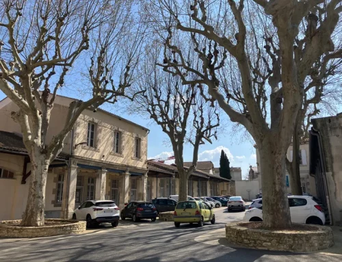 Abattage de platanes chancrés à l’espace de la Libération