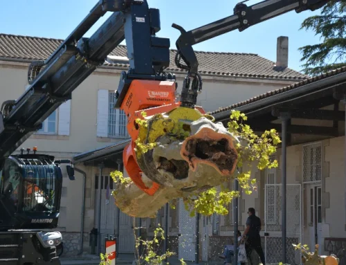 Débroussaillement et chancre coloré : tous acteurs